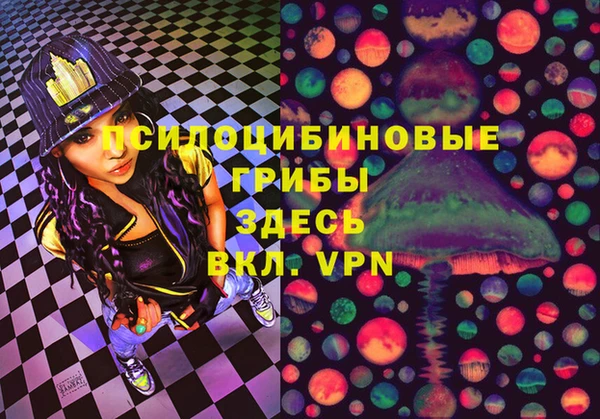 мяу мяу мука Абаза