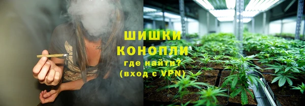 мдпв Осинники